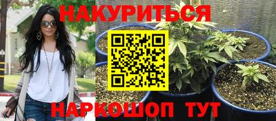 шишки Краснознаменск