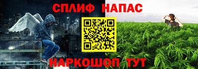 apvp Краснодар